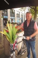 2017-08-25 Mijn Sansevieria en ik 20 2017-08-25 Mijn Sansevieria en ik 20